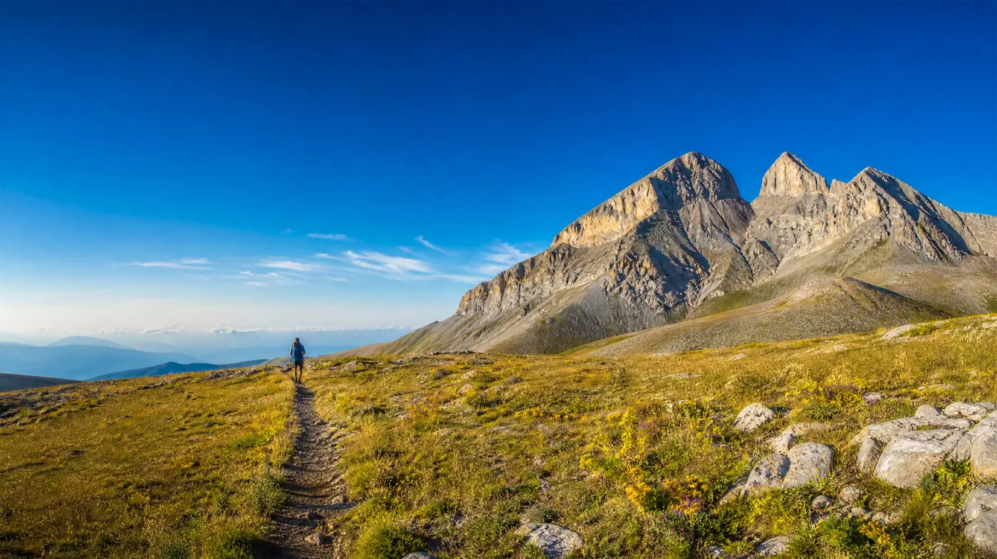 A golden alpine meadow with a hiker on a path leading toward the jagged summit peaks under a deep blue sky